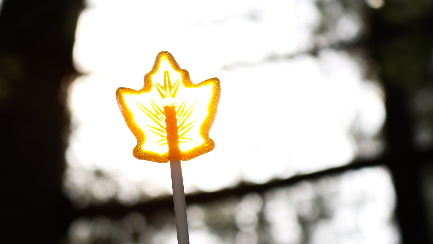maple lollipop, Canada gift sucker Canada gift souvenir