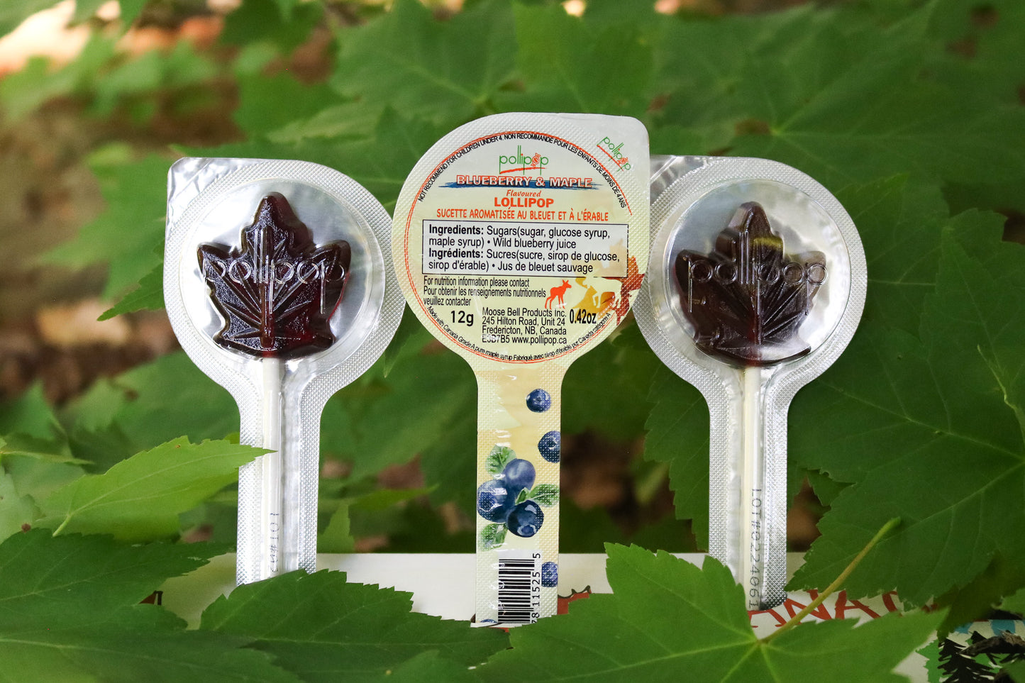 maple lollipop, maple candy, blueberry candy, Canada gift