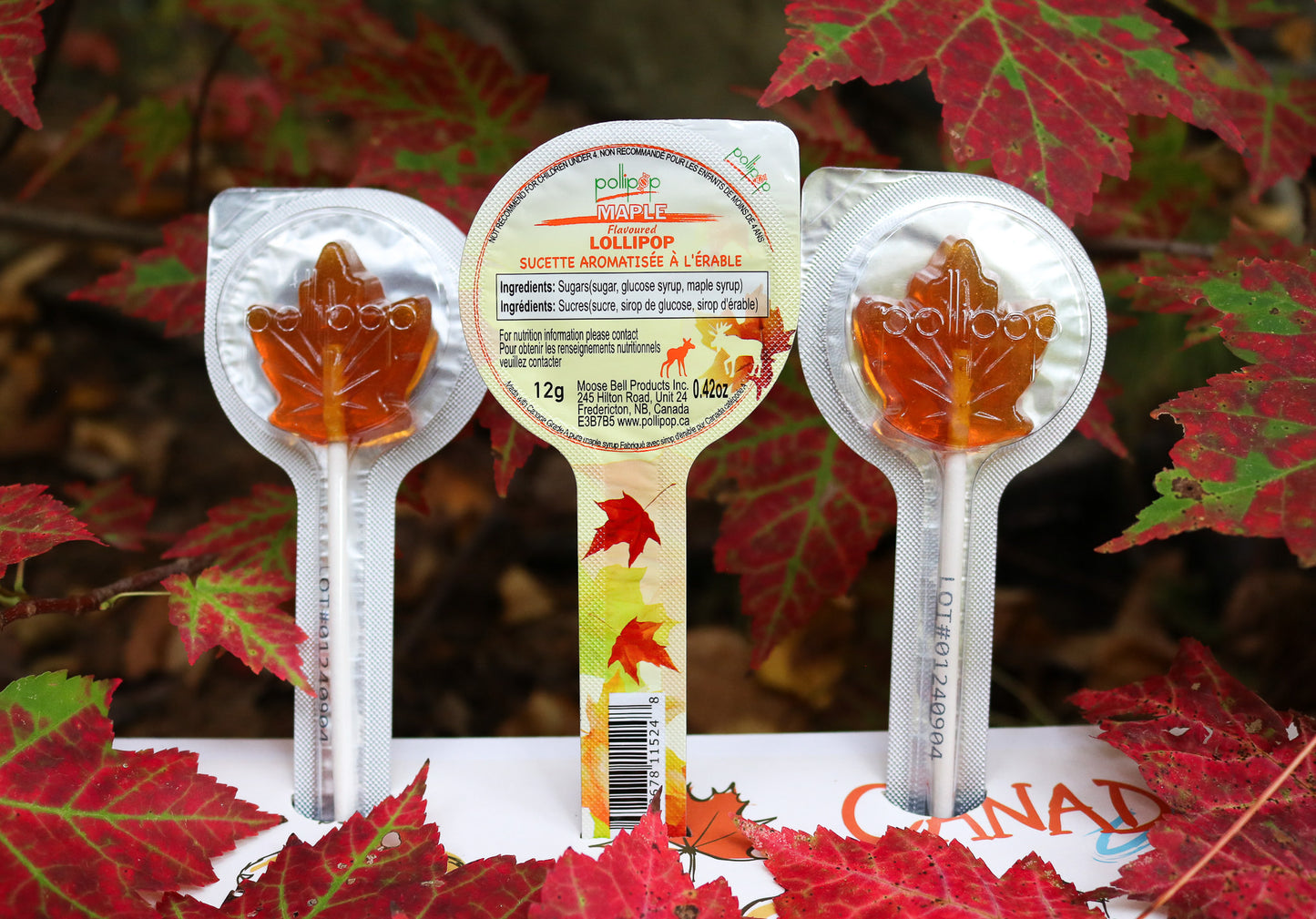 Maple sucker, maple lollipop, Canada gift