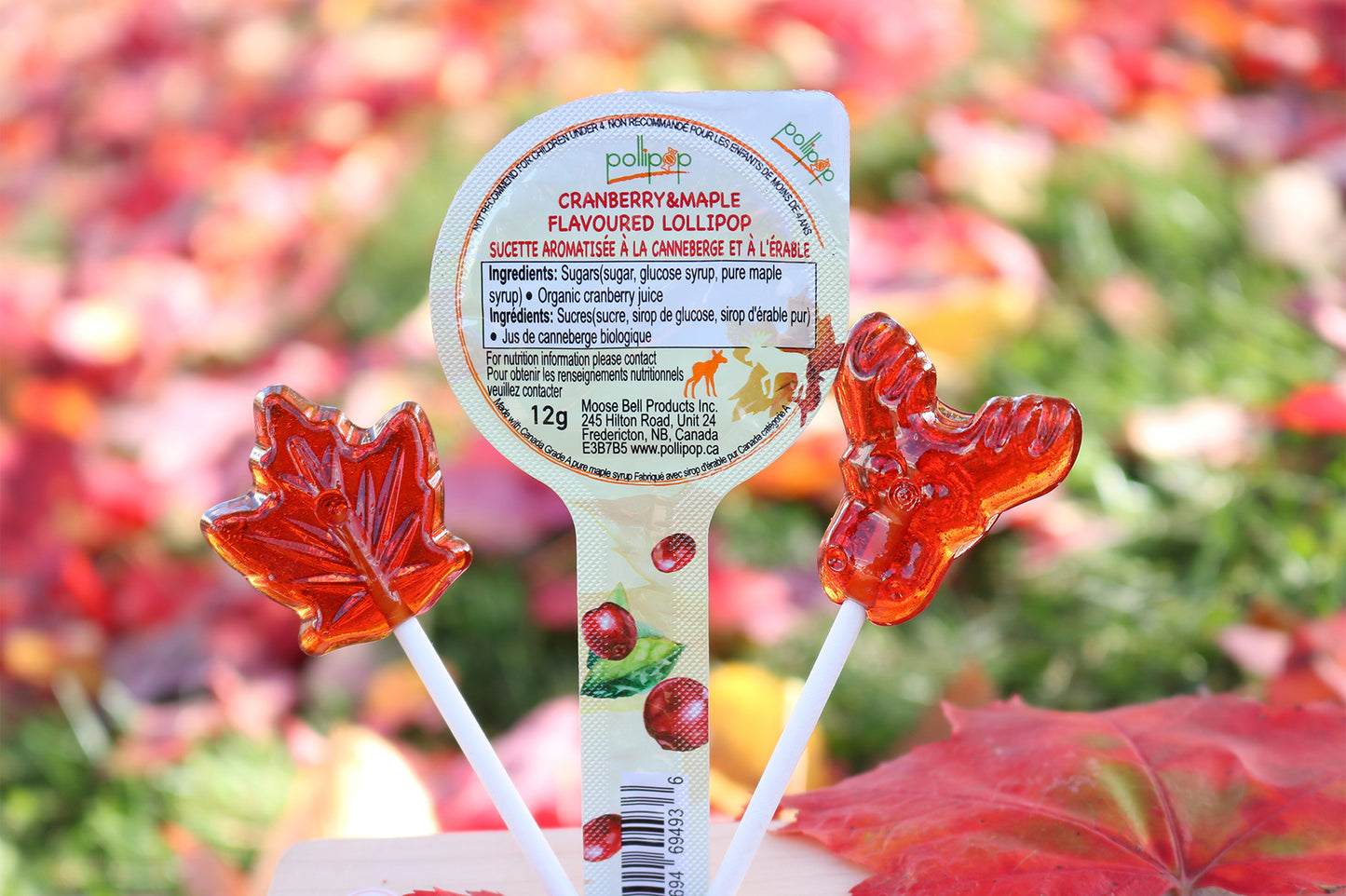 Cranberry & Maple Lollipop – POLLIPOP